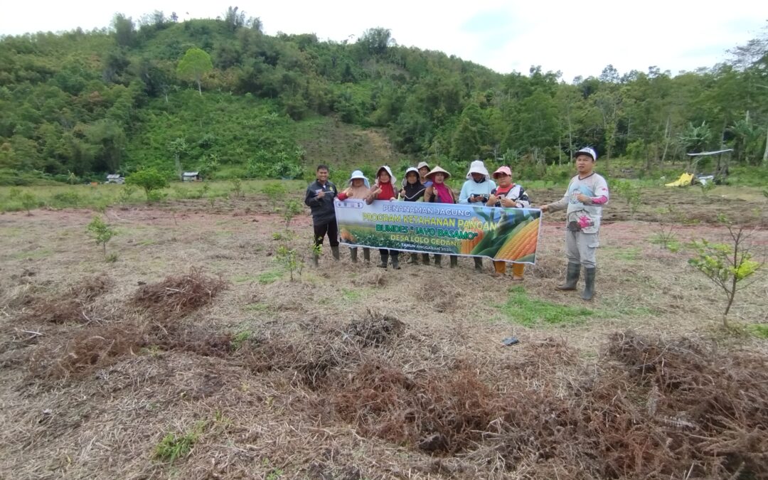 DALAM MENDUKUNG PROGRAM KETAHANAN PANGAN NASIONAL DI DESA LOLO GEDANG TAHUN 2025 “BUKTI NYATA KETAHANAN PANGAN DIMULAI DARI DESA”